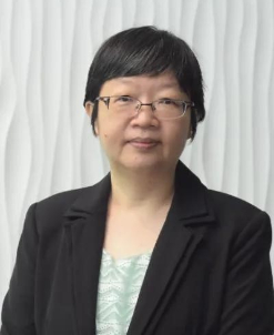 Professor Chien-Sing Lee